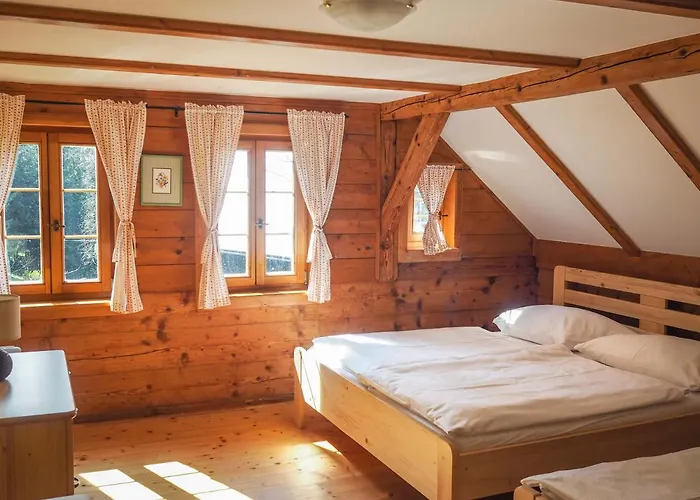 Chalet Luzicke Hory Dolni Svetla